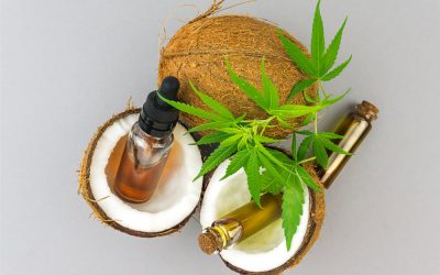 Coconut CBD on sale