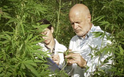 News from our scientists