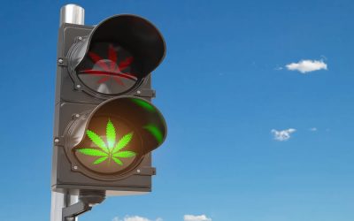 These states could legalize cannabis next in 2021